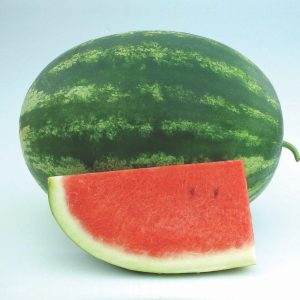 Watermelon- Extreme F1