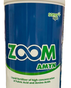 Zoom Amyn